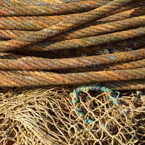 d10919: semi-abstract photo (close-up of old rope and net on quayside, Scarborough) by Ewart Shaw