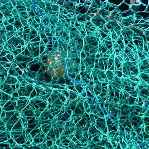 d10921: semi-abstract photo (close-up of net and float on quayside, Scarborough) by Ewart Shaw