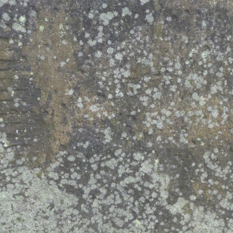 d10929: semi-abstract photo (weathered gravestone in St Mary's churchyard, Scarborough) by Ewart Shaw