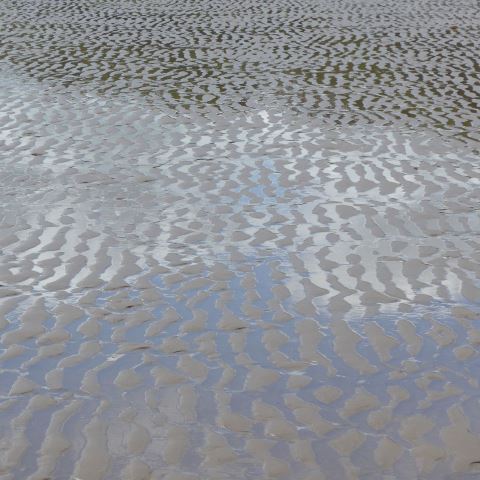 d20420: semi-abstract photo (pattern of reflections between sand ridges on beach) by Ewart Shaw
