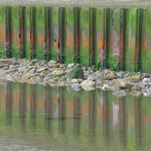 d20429: semi-abstract photo (fence on beach covered with rust and seaweed, with reflection) by Ewart Shaw