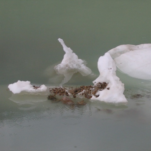 p0509: semi-abstract photo (bergy bits 1 - tiny icebergs) by Ewart Shaw