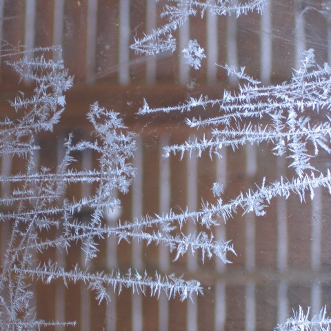 p4238: semi-abstract photo (frost on window) by Ewart Shaw