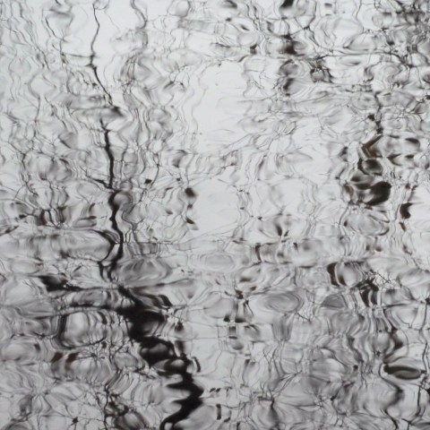 t20030: semi-abstract photo (distorted reflections of trees in beck) by Ewart Shaw