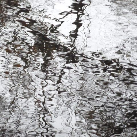 t20031: semi-abstract photo (distorted reflections of trees in beck) by Ewart Shaw