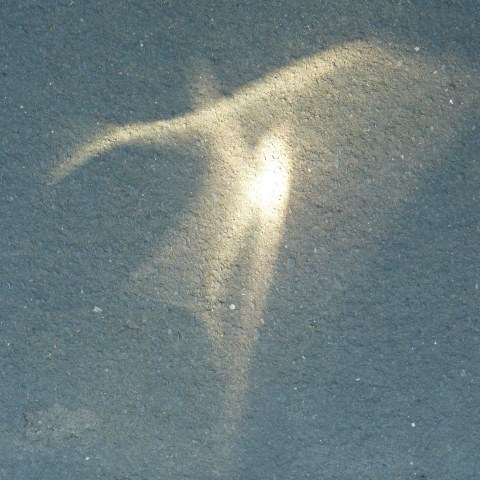 t20329: semi-abstract photo (dancing reflection on Scarborough pavement) by Ewart Shaw