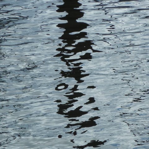 t20930: semi-abstract photo (reflection of mast in harbour) by Ewart Shaw