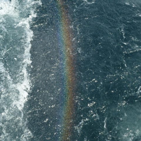 t30158: semi-abstract photo (rainbow in the spray behind a whale-watching boat) by Ewart Shaw